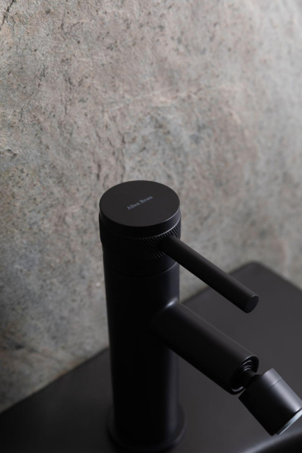 Allen Brau Liberty 4.33010.31 черный матовый