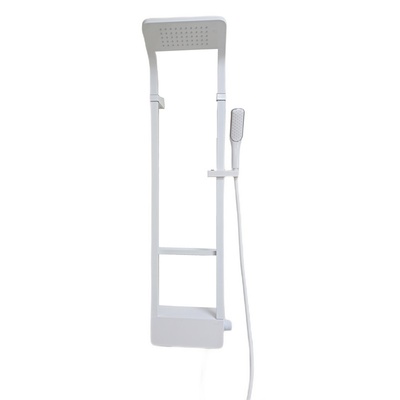 Ceruttispa MAIELLA B CT8985