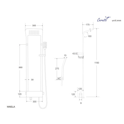 Ceruttispa MAIELLA B CT8985
